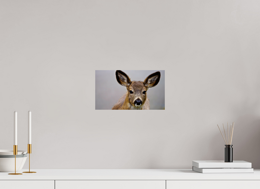 12 x 6.8″, Photo Print On Fuji Crystal DP II My Pet Dog
