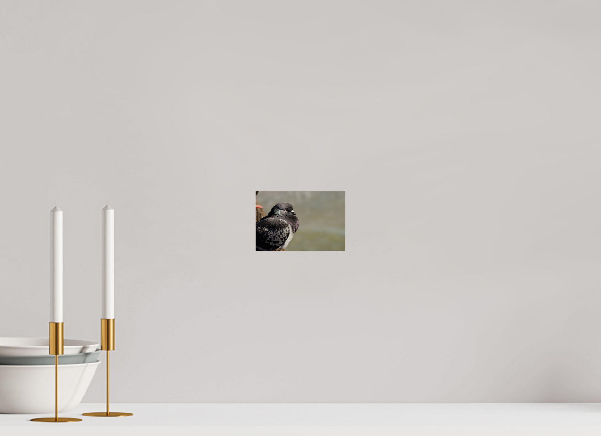 6 x 4″, Photo Print On Fuji Crystal DP II The most decorated animal in history