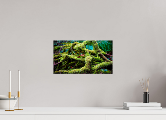 16 x 9″, Photo Print On Fuji Crystal DP II Small World