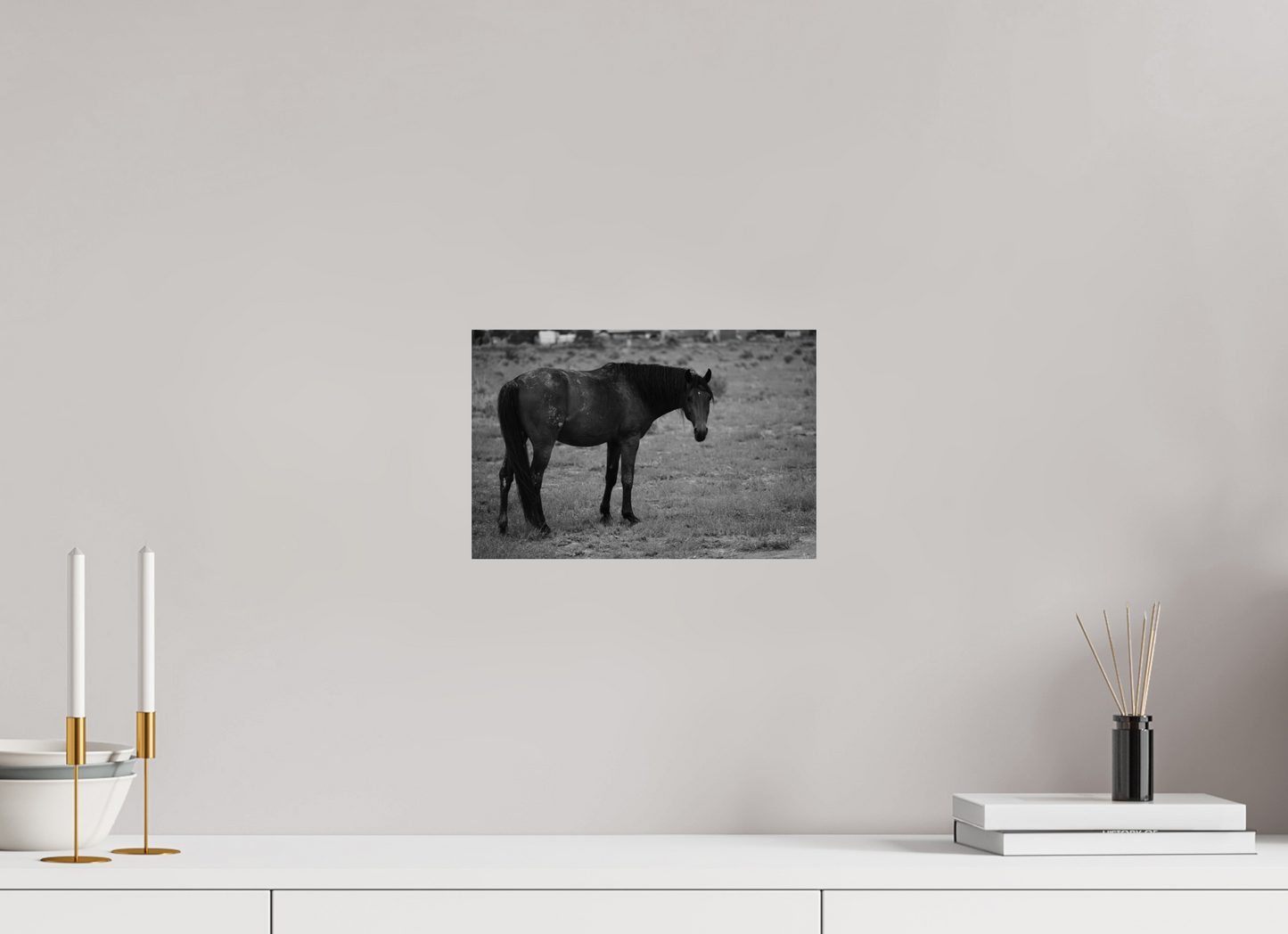 12 x 8″, Photo Print On Fuji Crystal DP II An old friend