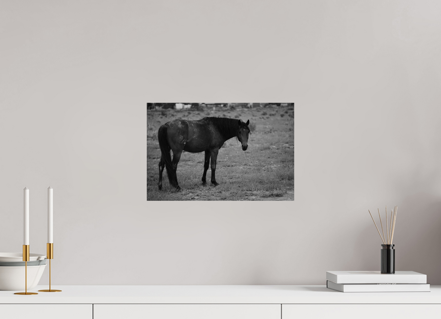 15 x 10″, Photo Print On Fuji Crystal DP II An old friend