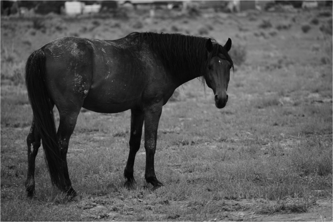 Main image An old friend