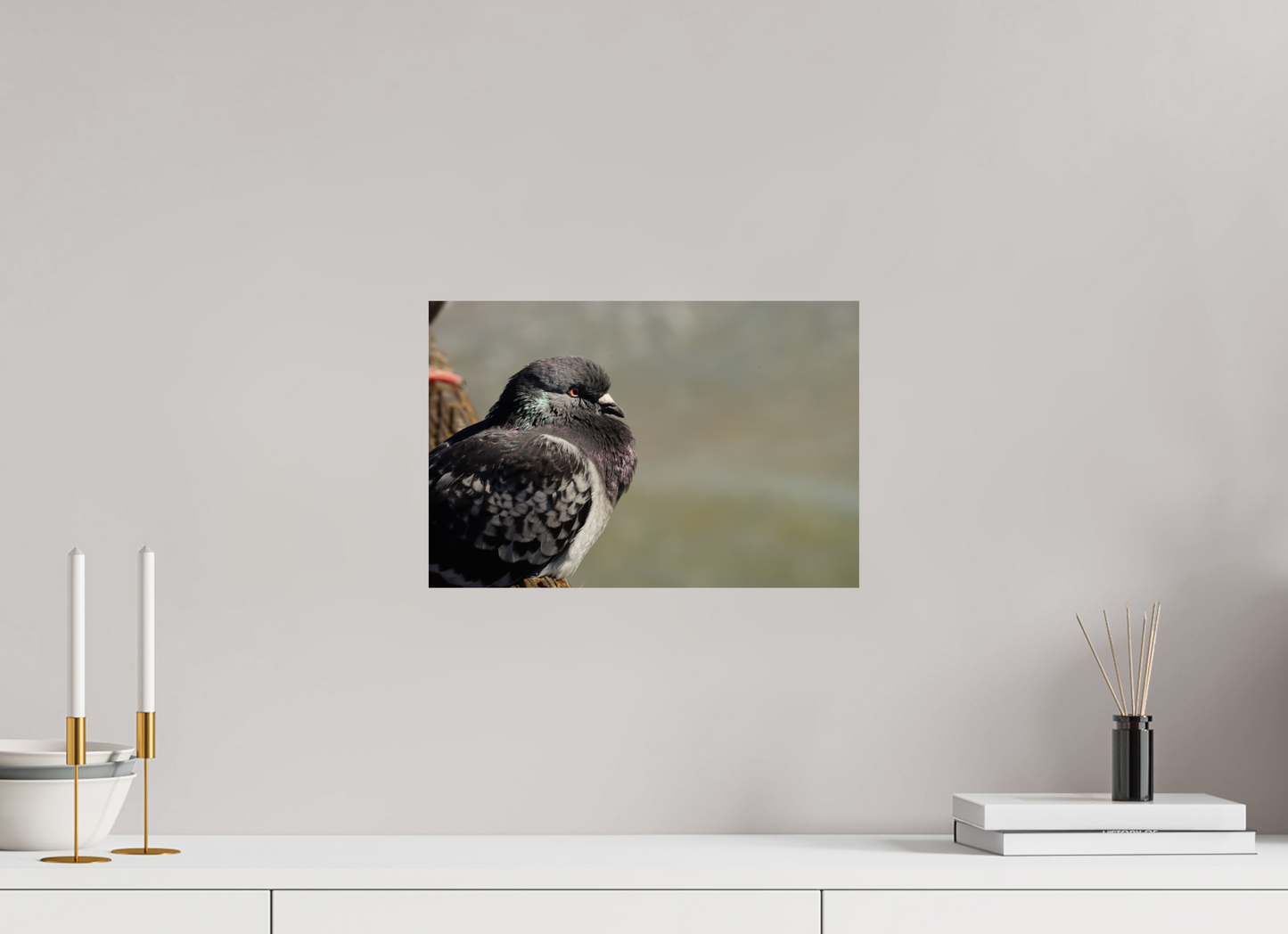 15 x 10″, Photo Print On Fuji Crystal DP II The most decorated animal in history